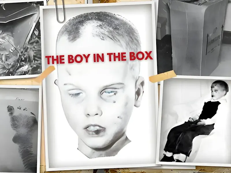 Cover image for The Boy In The Box