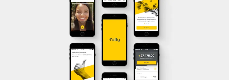 Cover image for Tally Money