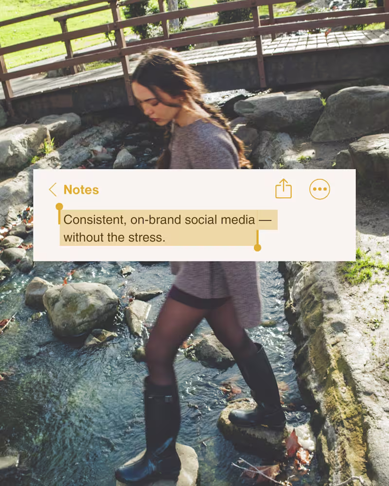 Cover image for Social Media Management