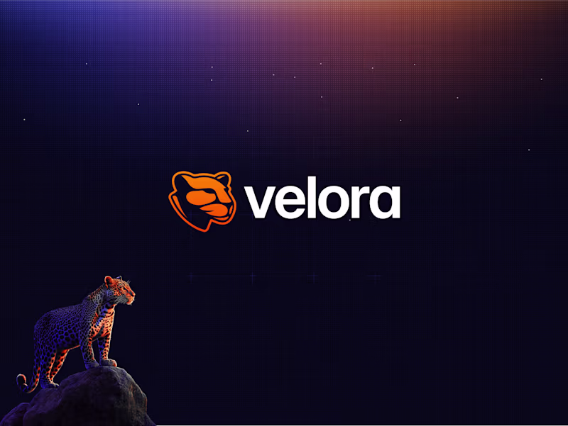 Cover image for Velora: ParaSwap Rebranding Strategy