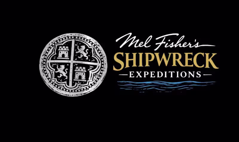 Cover image for logo design professional logo design, modern  logo design