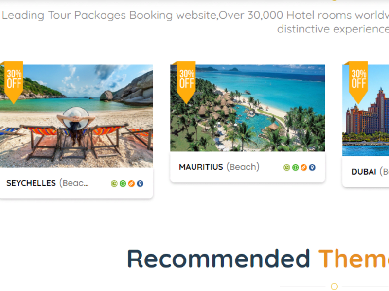 Cover image for Tour Website