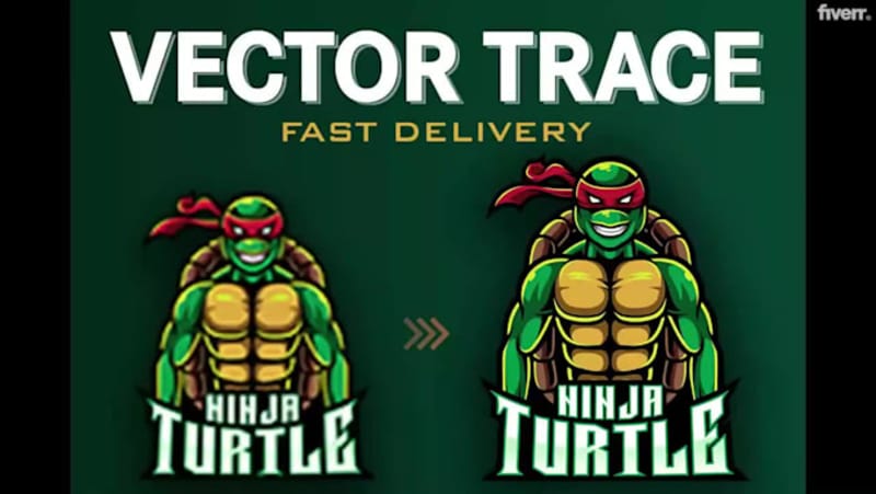 Cover image for Vector Tracing and Image Conversion Project