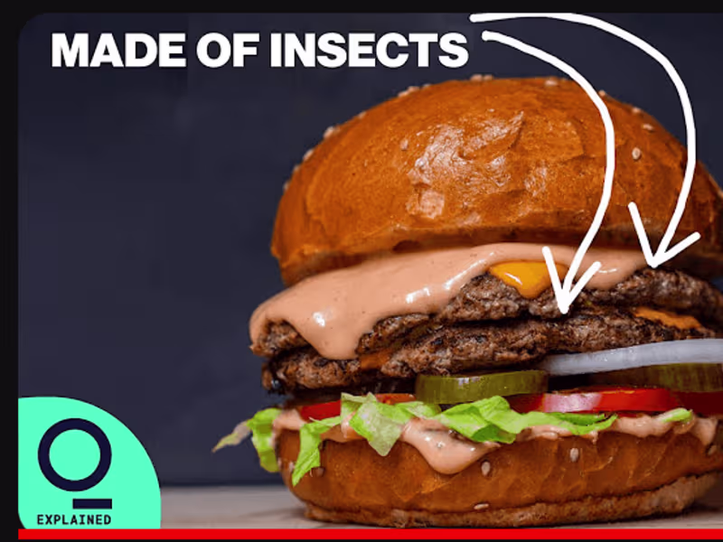 Cover image for Bloomberg QuickTime: The Future of Food