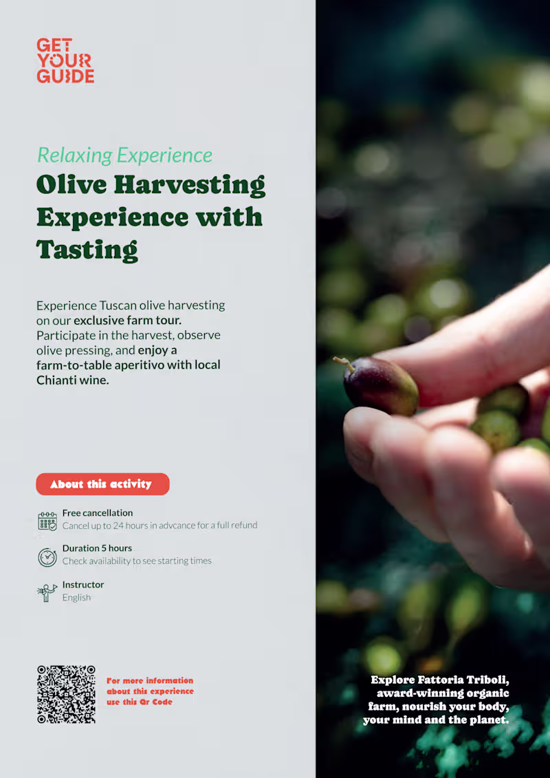 Cover image for Olive Harvesting Flyer