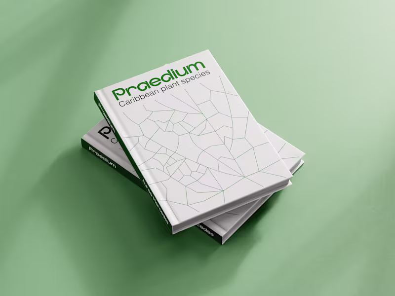 Cover image for Praedium