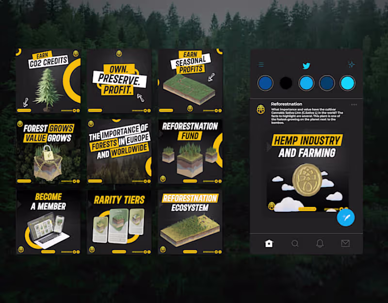 Cover image for Social Media Management