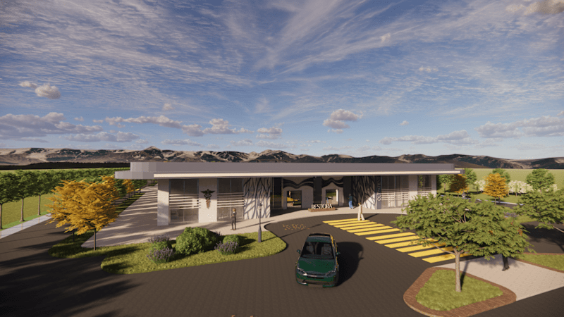 Cover image for Thesis Project - Mental Sanctuary and Hospital 
