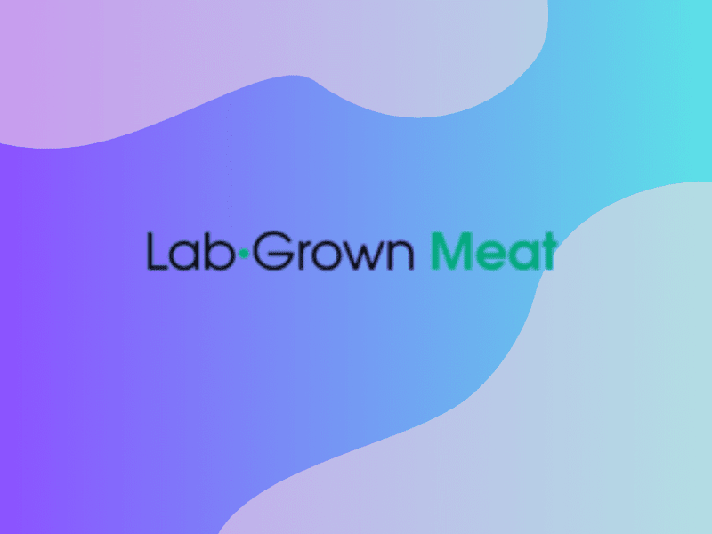 Cover image for Case Study: LabGrownMeat.com (Long-form guides)