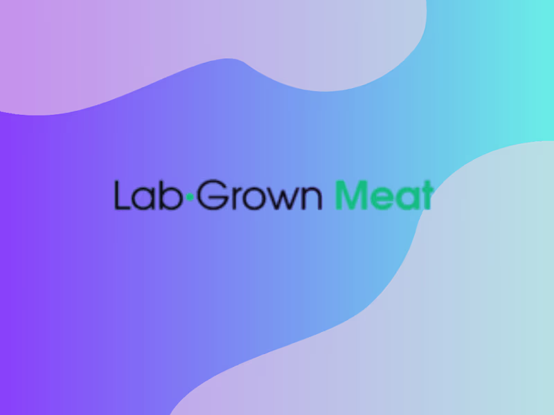 Cover image for Case Study: LabGrownMeat.com (Long-form guides)