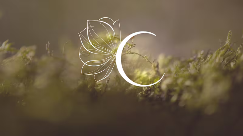 Cover image for CRISSAFLEURS Brand Identity Design