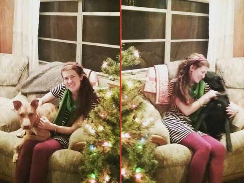 Cover image for Understanding the True Meaning of Christmas