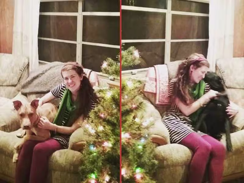 Cover image for Understanding the True Meaning of Christmas