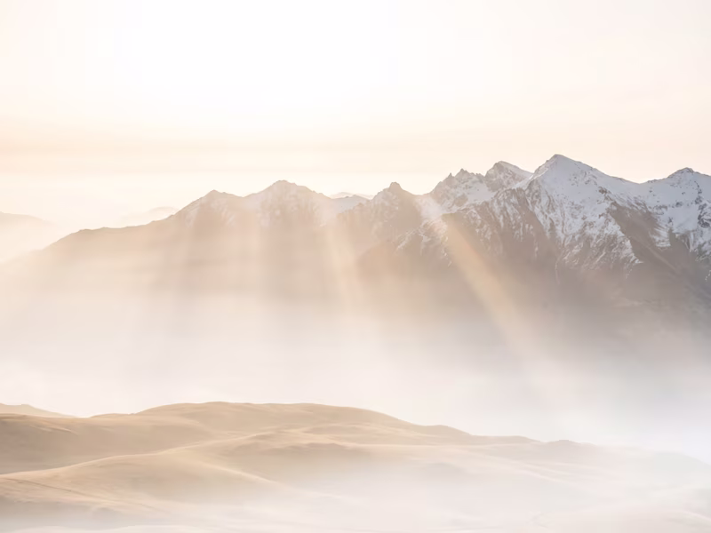 Cover image for The Alignment Session