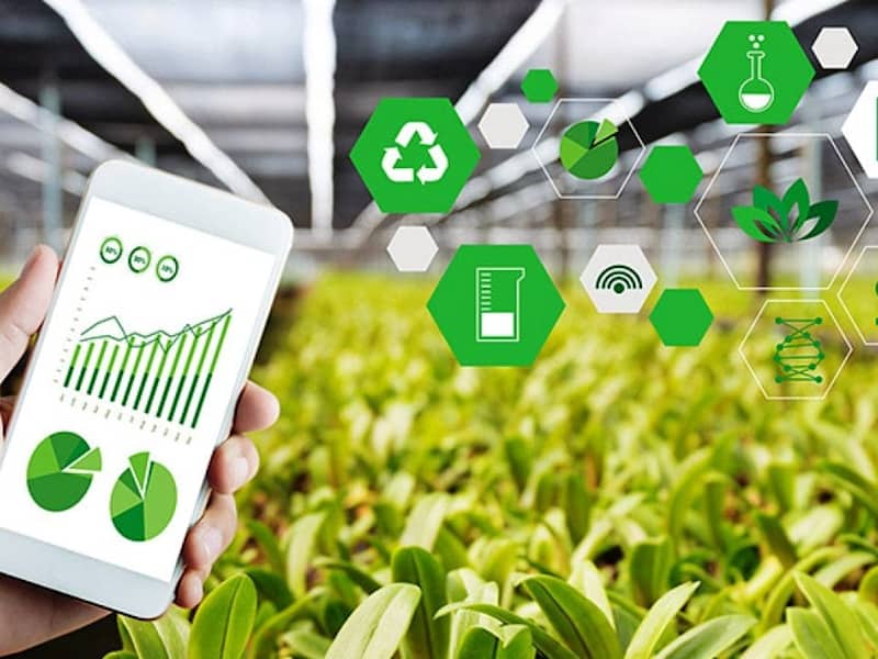 Cover image for SaaS Application for Farm Management