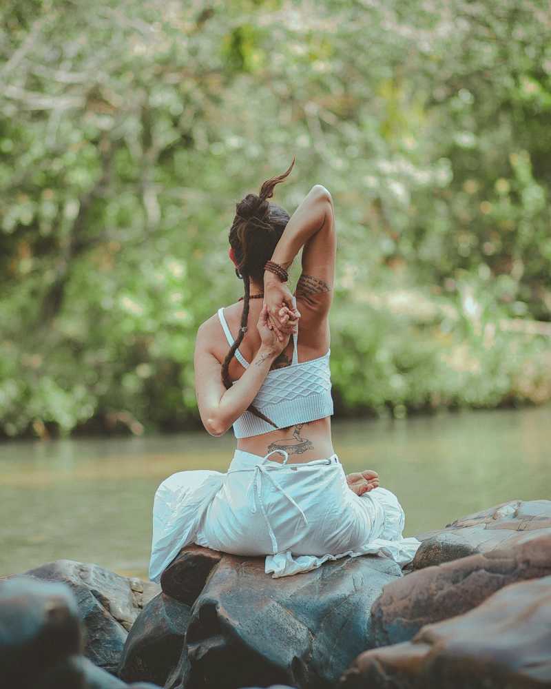 Cover image for A Wellness Blog Article