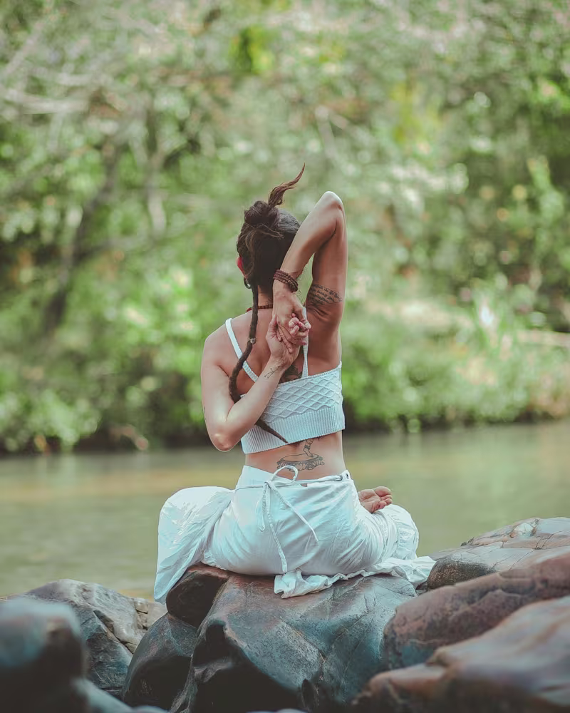 Cover image for A Wellness Blog Article
