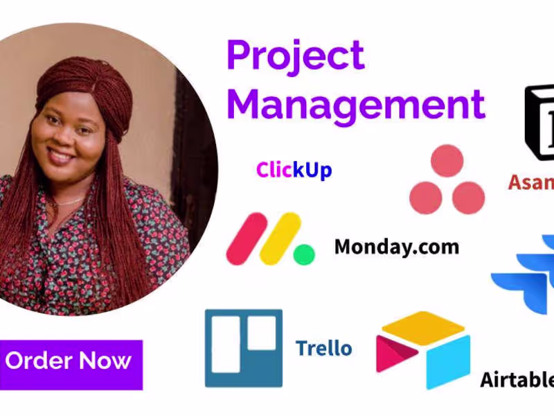 Cover image for Expert Project Management Services