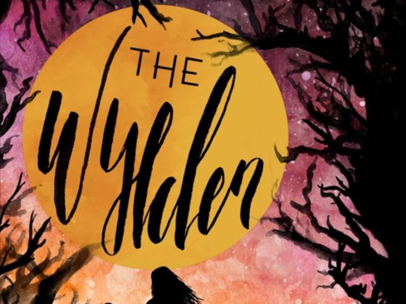 Cover image for The Wylden