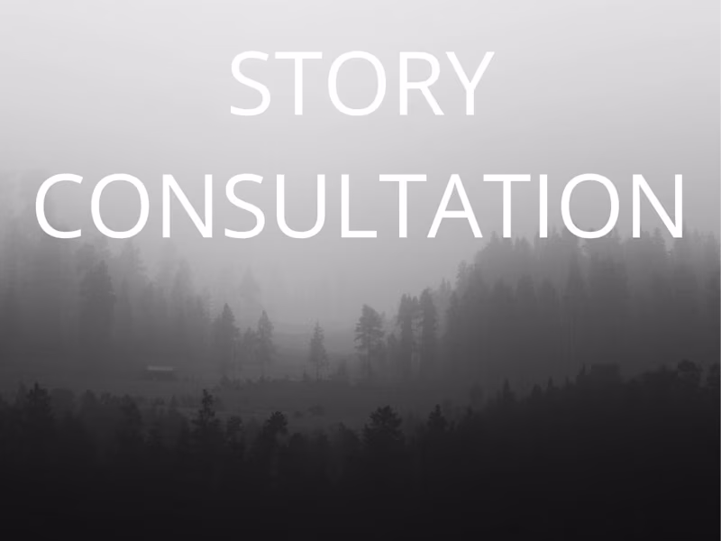 Cover image for Story Consultation (60 min)