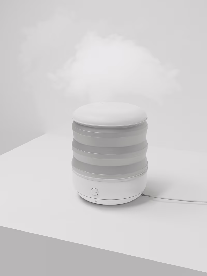 Cover image for Steam cooker