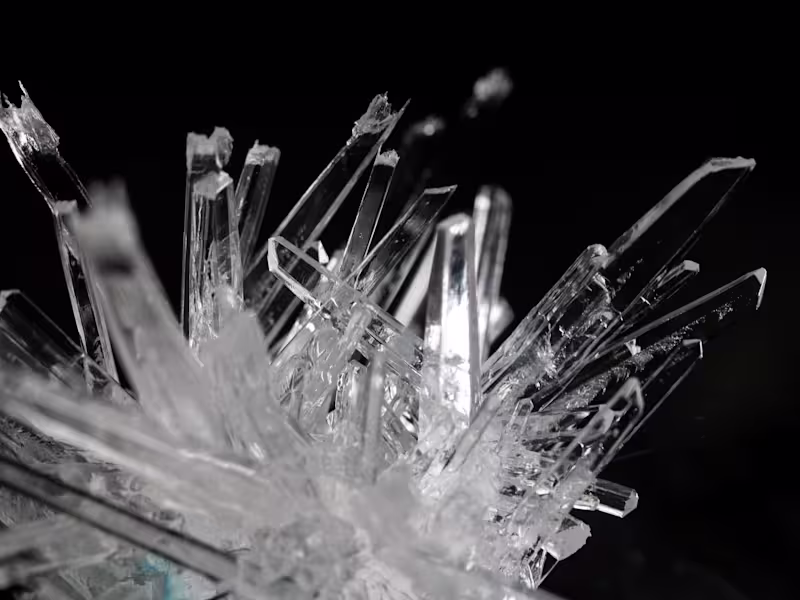 Cover image for Science Review