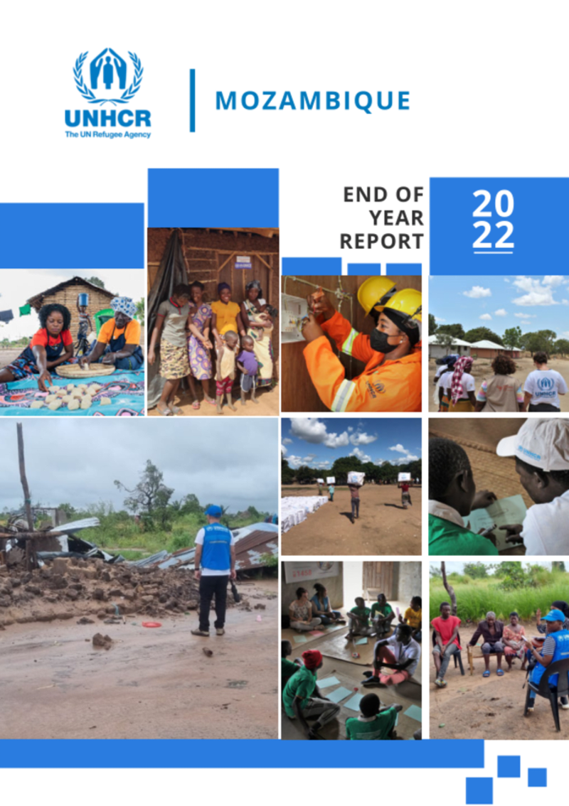Cover image for Humanitarian Assistance in Mozambique