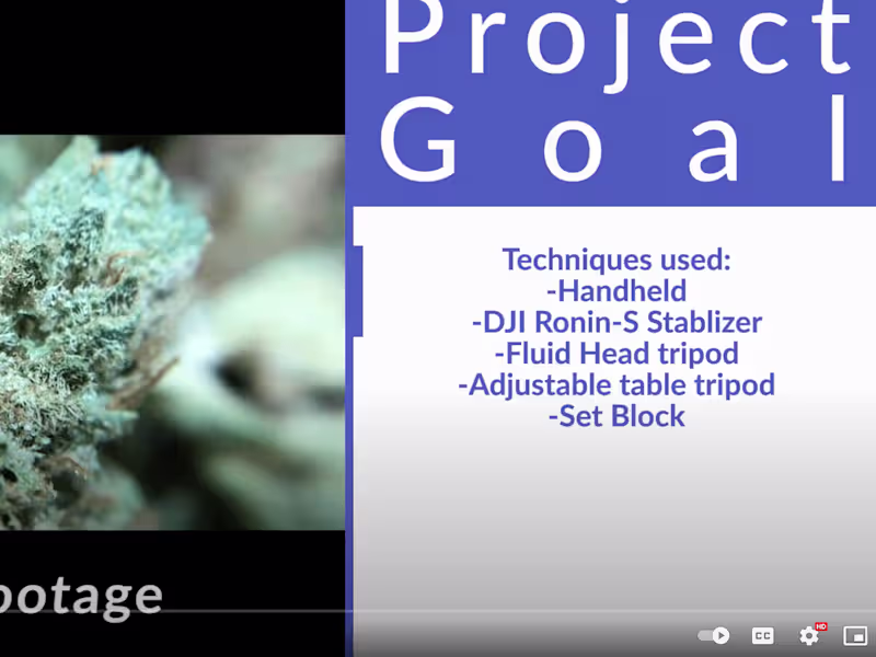 Cover image for B-Roll footage capture