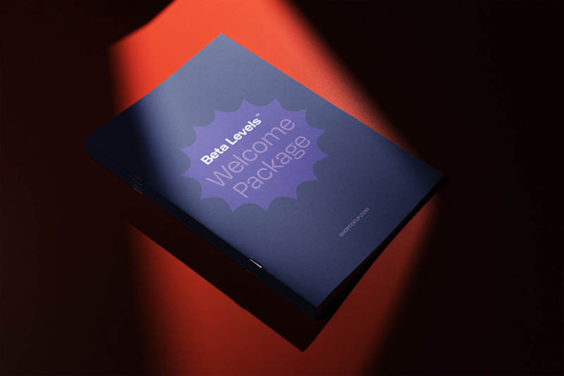 Cover image for Beta Levels - Visual Identity and Collateral Design