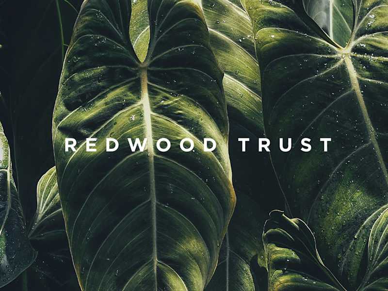 Cover image for Brand + Web Design: Redwood Trust