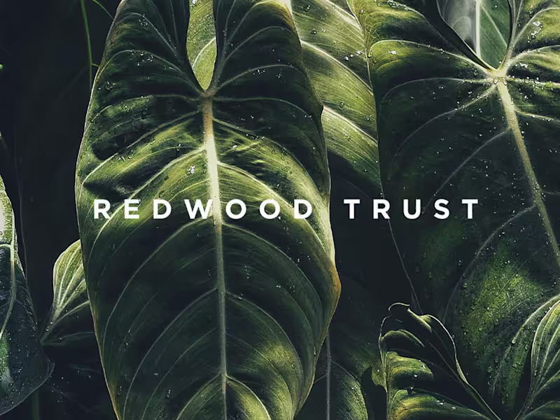 Cover image for Brand + Web Design: Redwood Trust