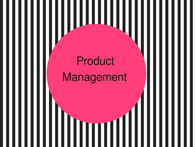 Cover image for Project Management