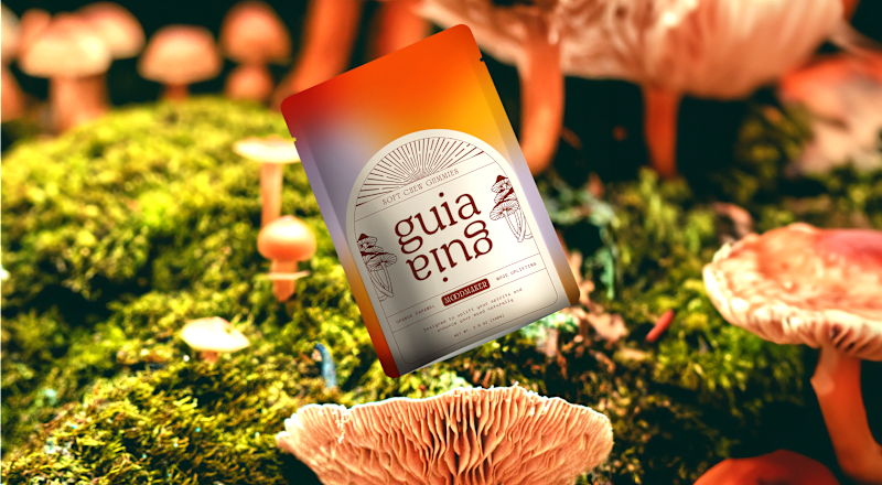 Cover image for Guia Mushrooms