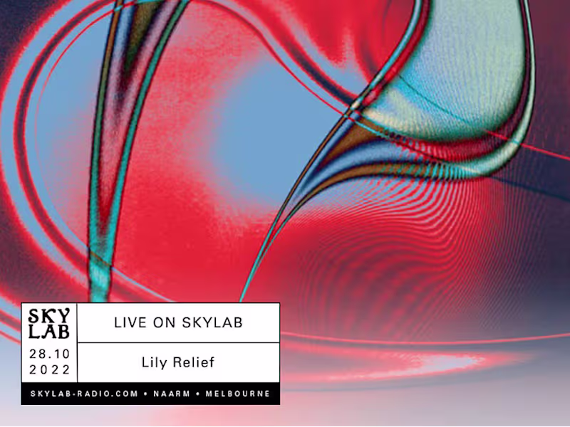 Cover image for Skylab Radio Graphics