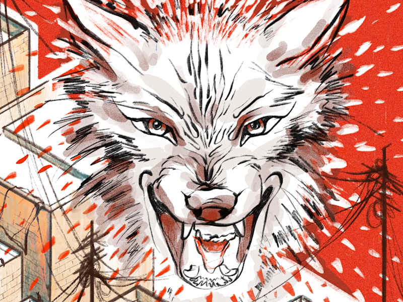 Cover image for Big Bad Wolf