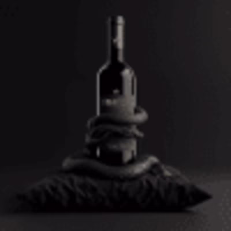Cover image for WINE BOTTLE