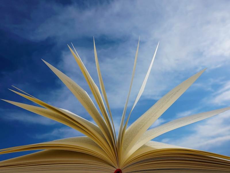Cover image for Proofreading Books – fiction, non-fiction, all genres