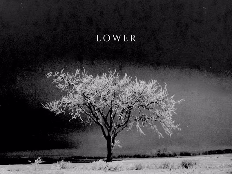 Cover image for Writer & video creator that's fun to work with. Results-driven.