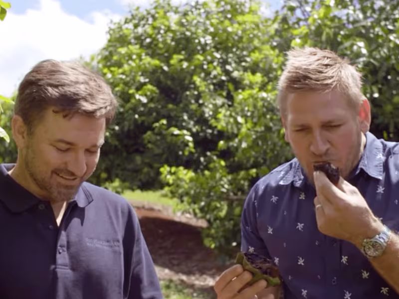 Cover image for Field Trip w/ Curtis Stone