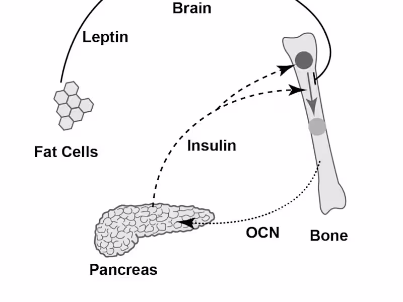 Cover image for Creating medical illustrations & photo edits