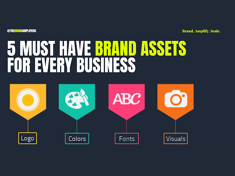 Cover image for Instagram marketing and management for The Brand Amplifiers