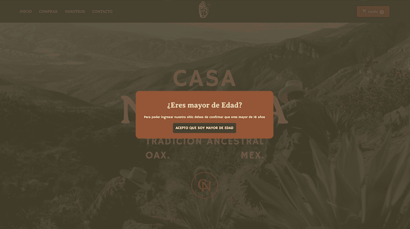 Cover image for Casa Nativa Web Design + Development