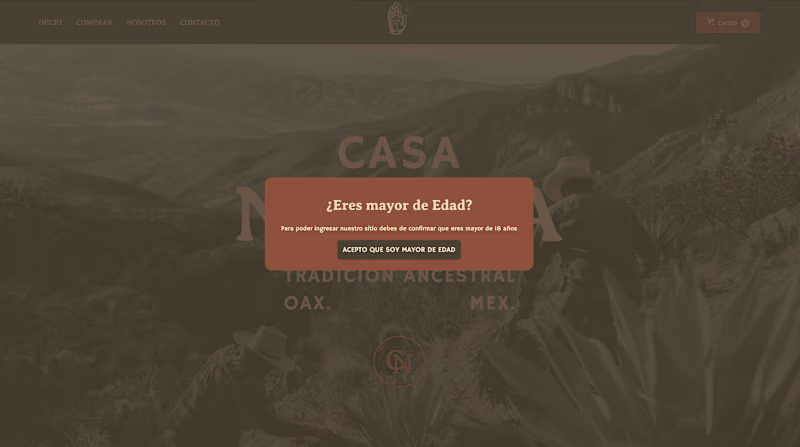 Cover image for Casa Nativa Web Design + Development