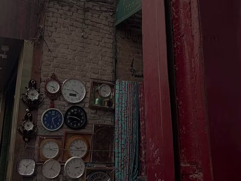 Cover image for The Seasonal Chronicles