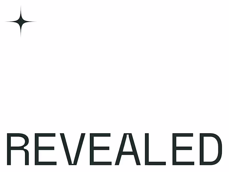 Cover image for Revealed x Open 2