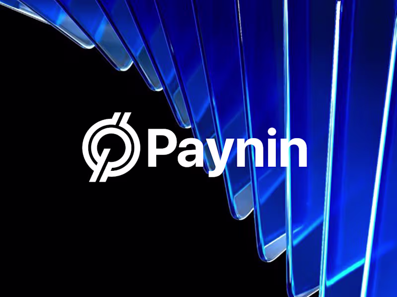 Cover image for Paynin: Building a High-Tech Visual Identity for Modern Fint...
