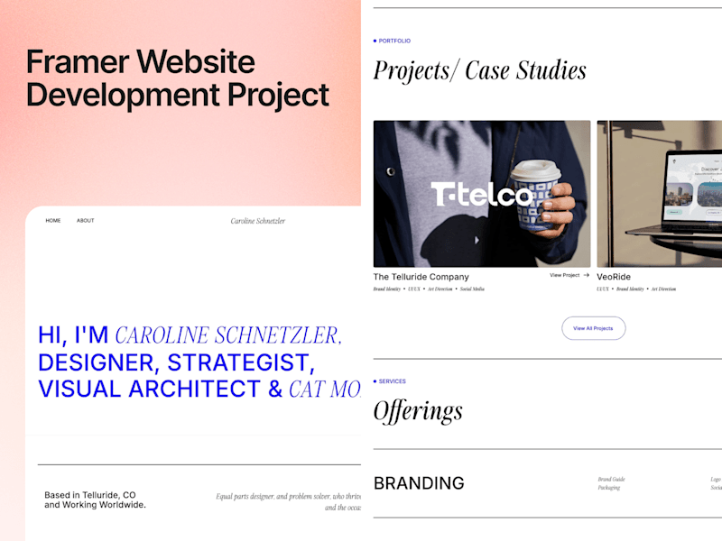 Cover image for Caroline Schnetzler Website Customization and Issue Resolution