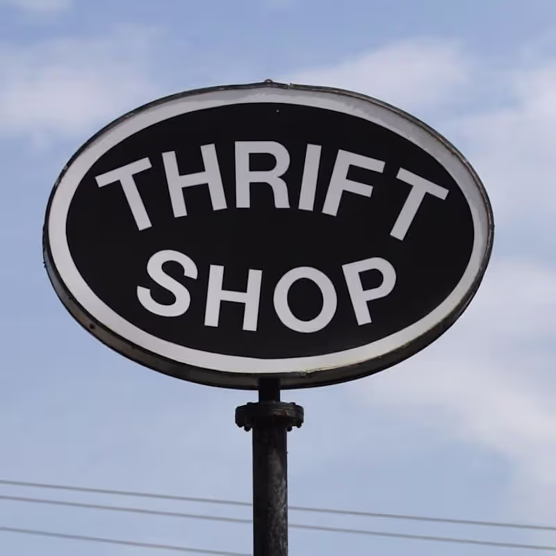 Cover image for "Thrift Revolution: Redefining Sustainable Style"