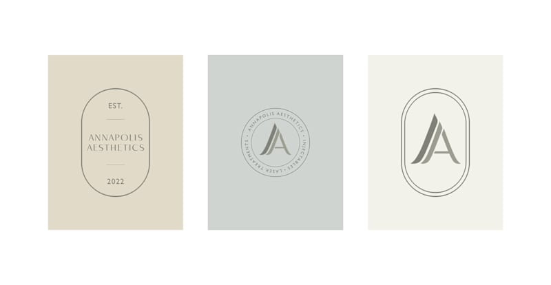 Cover image for Annapolis Aesthetics