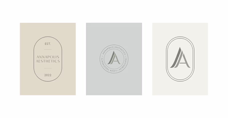 Cover image for Annapolis Aesthetics